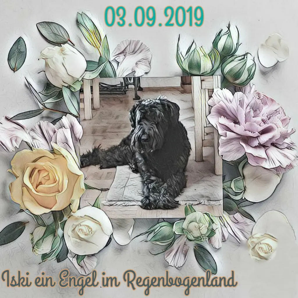 Condolence image of Sabine mit Kaspar tief im Herzen