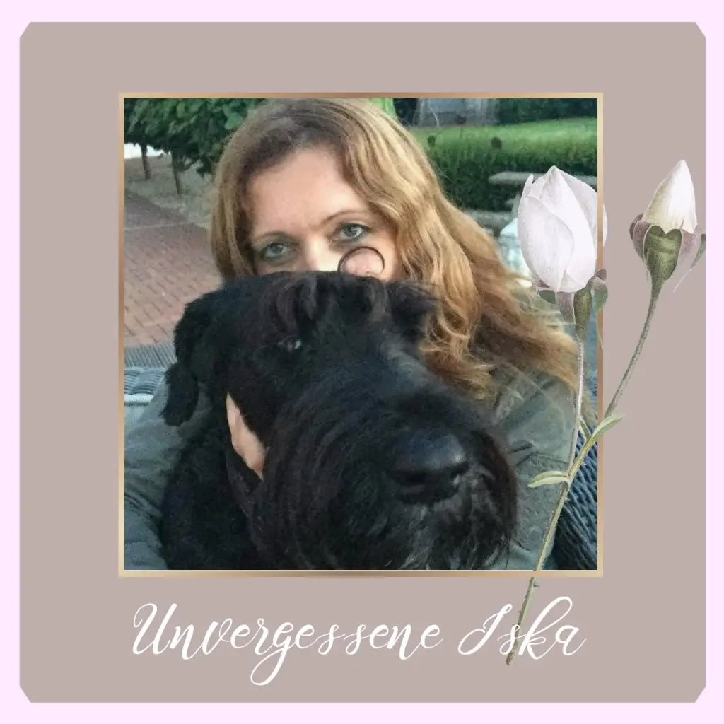 Condolence image of Sabine mit Kaspar tief im Herzen