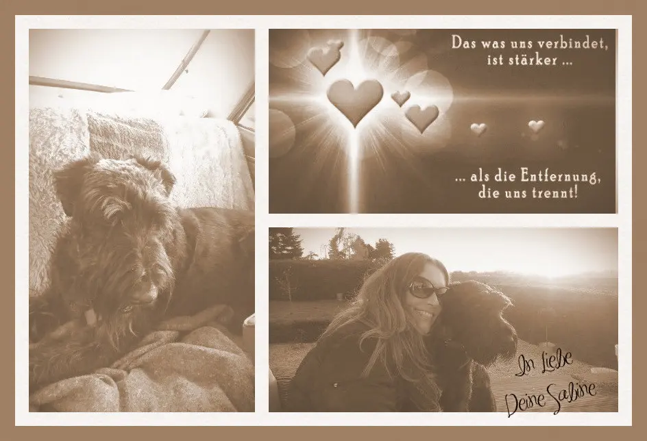 Condolence image of Sabine mit Kaspar tief im Herzen