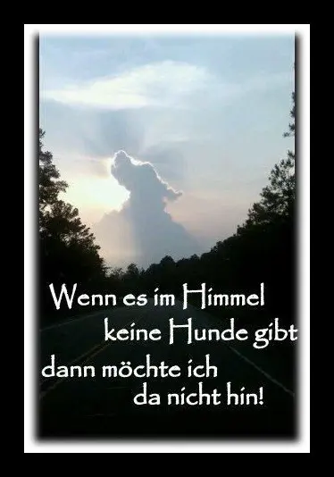 Condolence image of Sabine mit Kaspar tief im Herzen