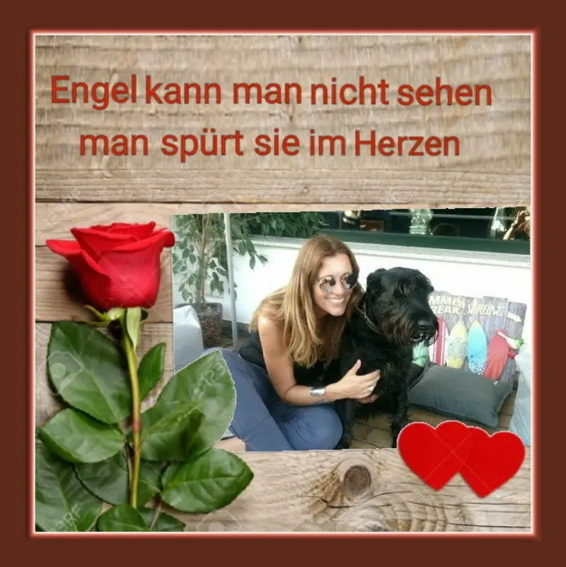 Condolence image of Sabine mit Kaspar tief im Herzen