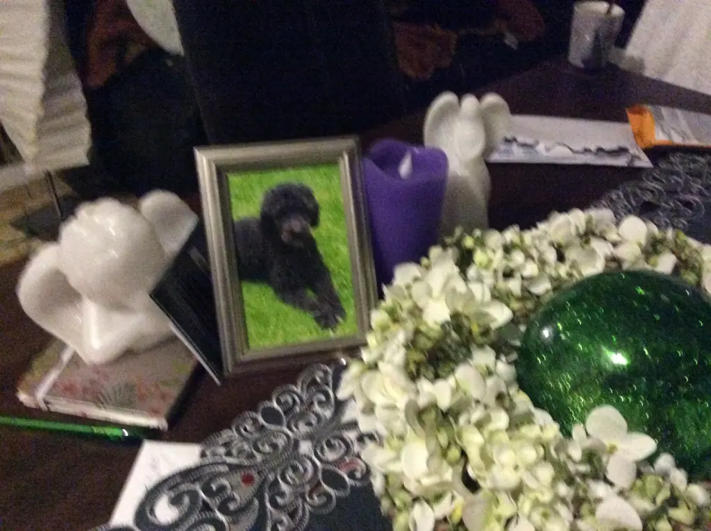 Condolence image of Heidi