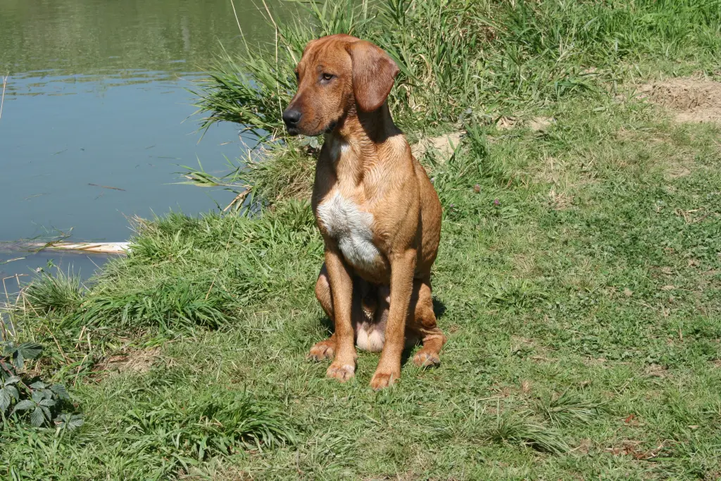Bild von Tobi