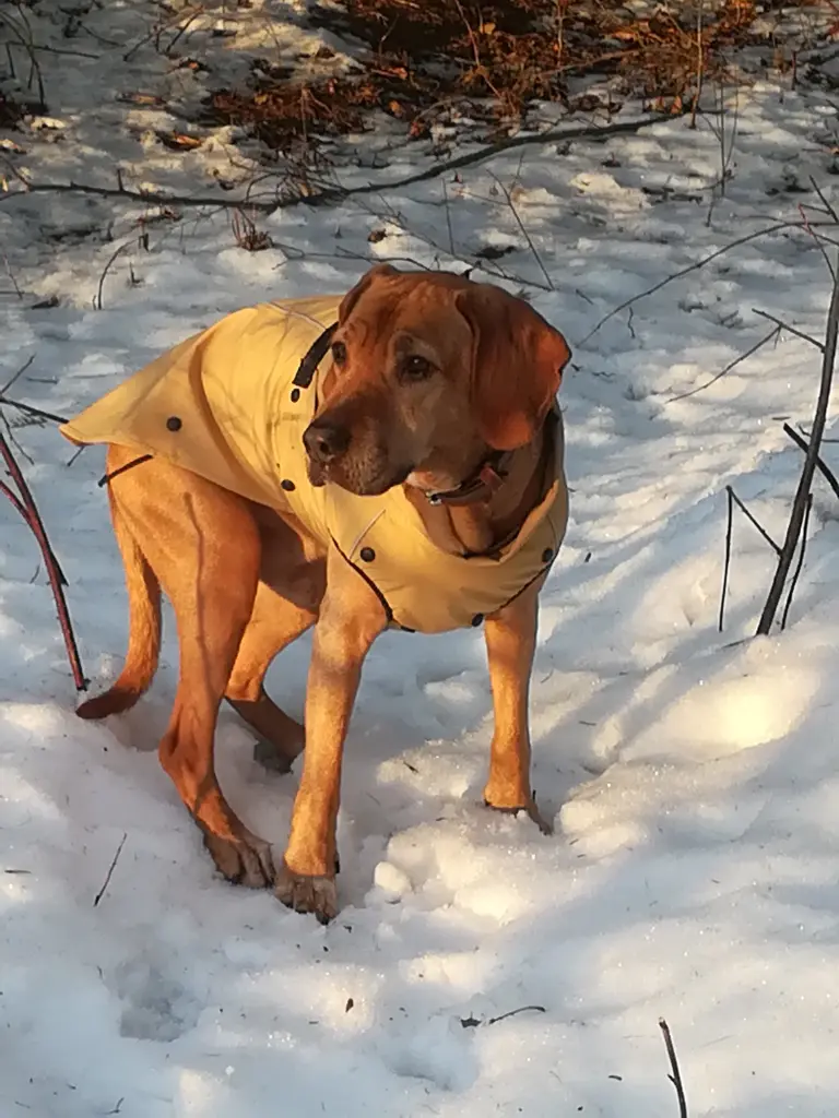 Bild von Tobi