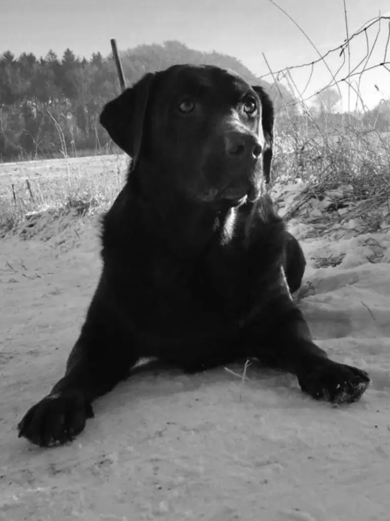 Bild von Amy