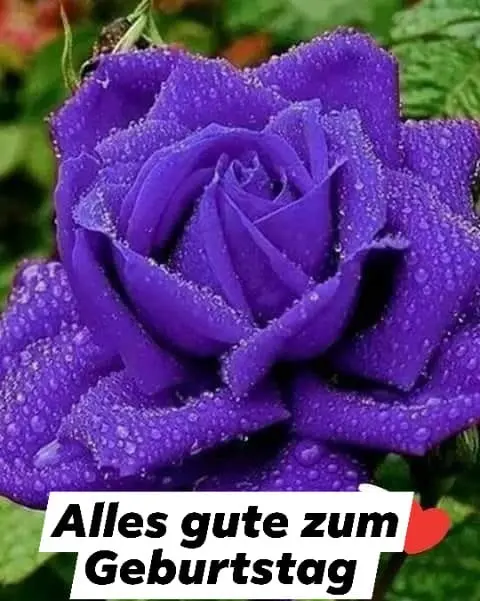 Condolence image of Verena mit Olli tief im ♥️29.06.2019