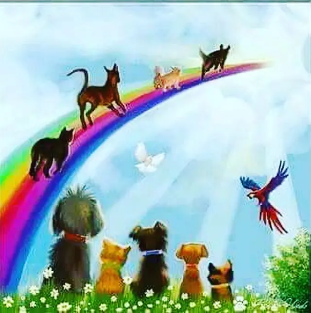 Condolence image of Für Nando ✨✨✨