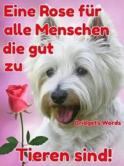 Condolence image of Unbekannt