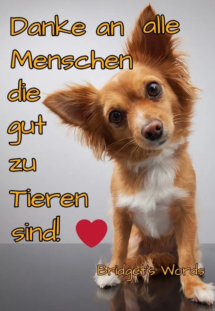 Condolence image of Für Birte ♥️♥️♥️