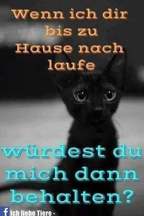 Condolence image of Unbekannt