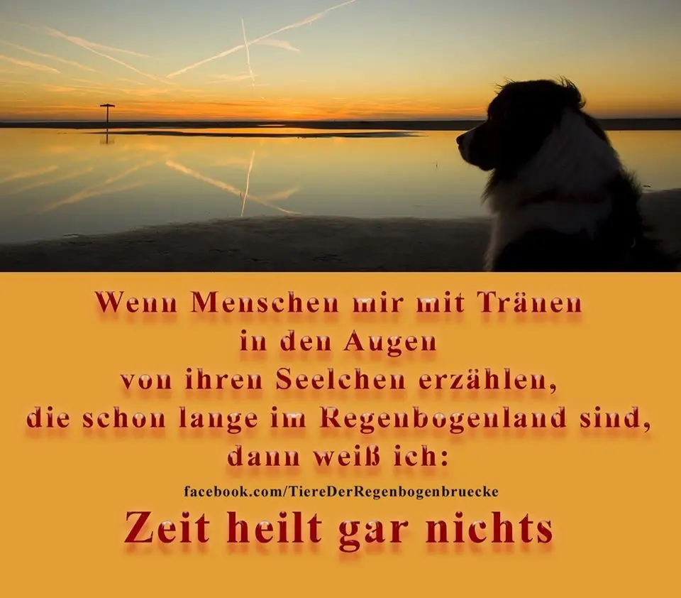 Condolence image of Für Nando und Olli