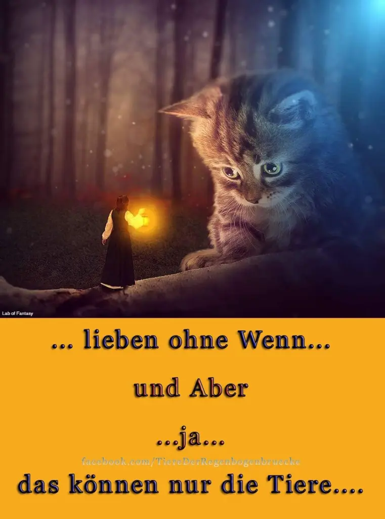 Condolence image of Für Nando ✨✨✨