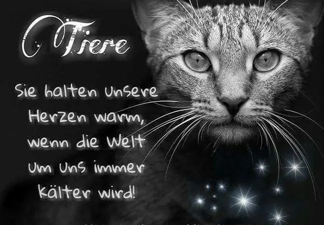 Condolence image of Sabine mit Kaspar tief im Herzen