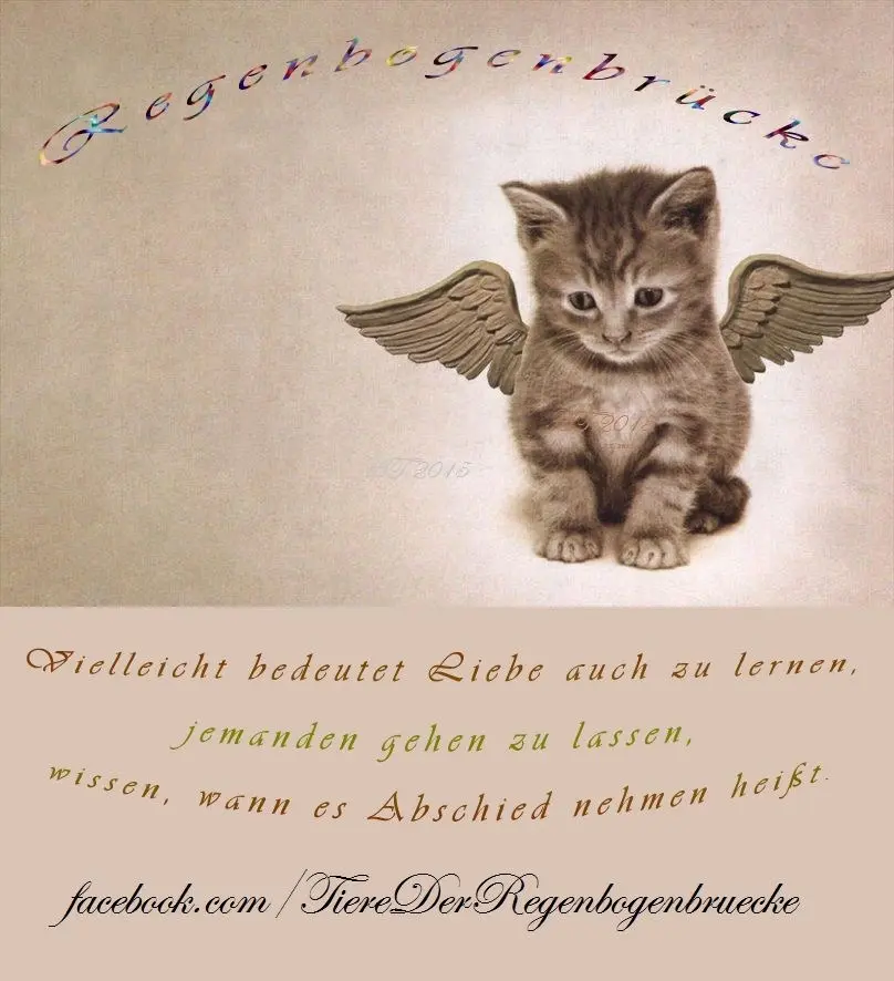 Condolence image of Für Nando ✨✨✨