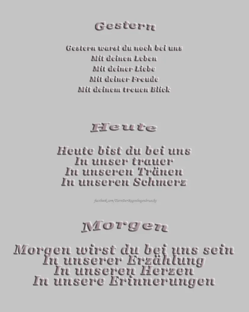 Condolence image of Für Nando ✨✨✨
