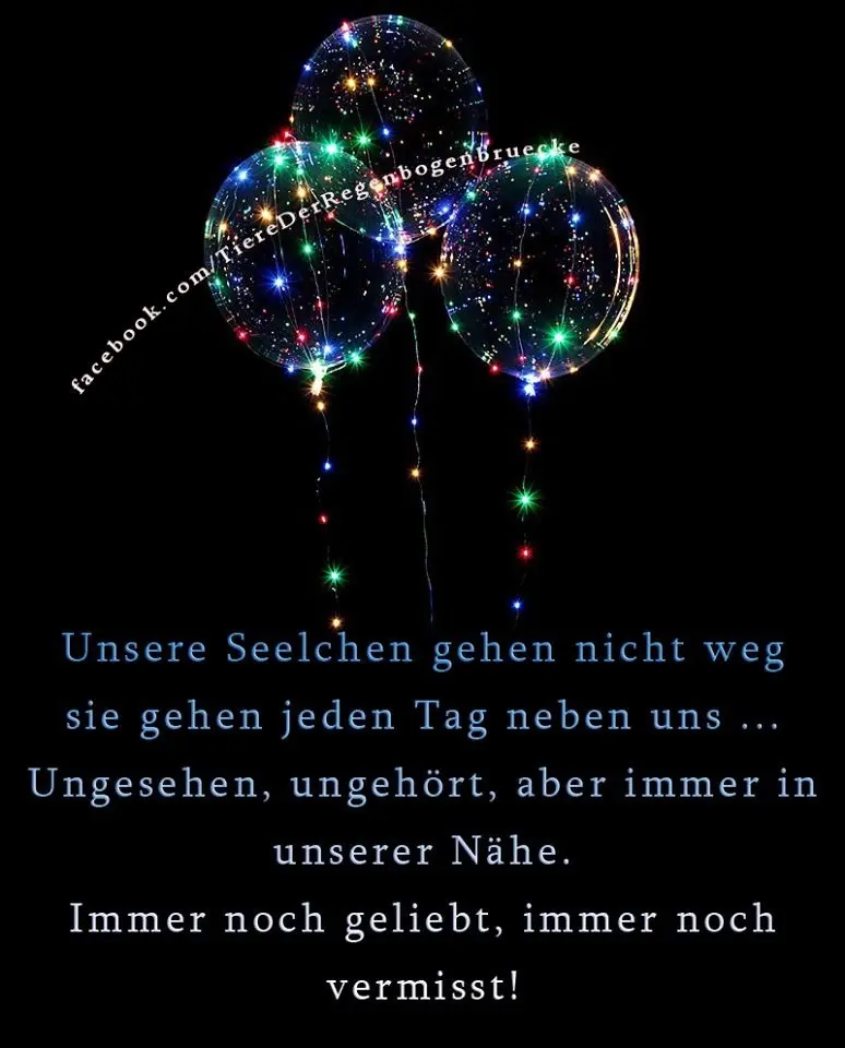 Condolence image of Für Nando