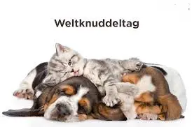Condolence image of Sabine mit Kaspar tief im Herzen