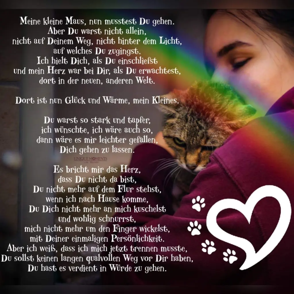 Condolence image of Für Nando ✨✨✨