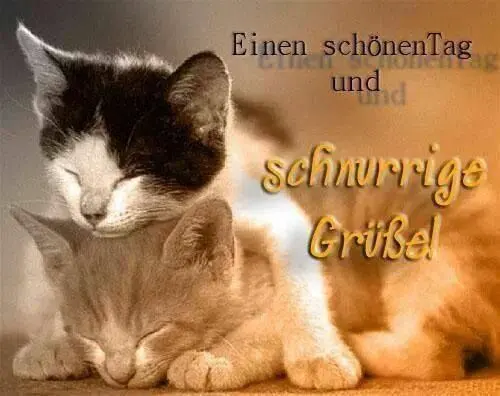 Condolence image of Sabine mit Kaspar tief im Herzen