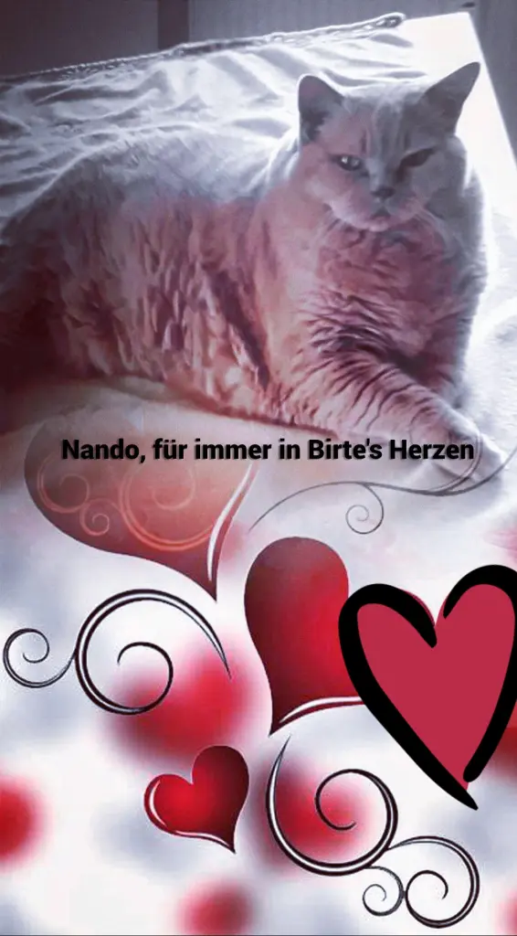 Condolence image of Ellen mit Lina ♥️