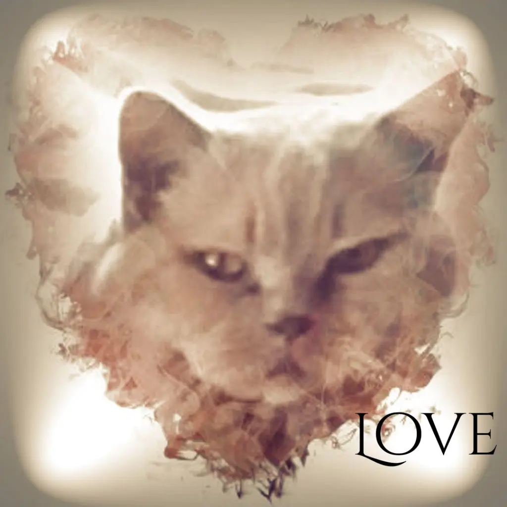 Condolence image of Ellen mit Lina ♥️