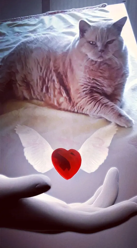Condolence image of Ellen mit Lina ♥️