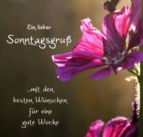 Condolence image of Ellen mit Lina ♥️
