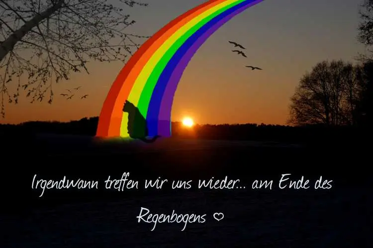 Condolence image of Unbekannt