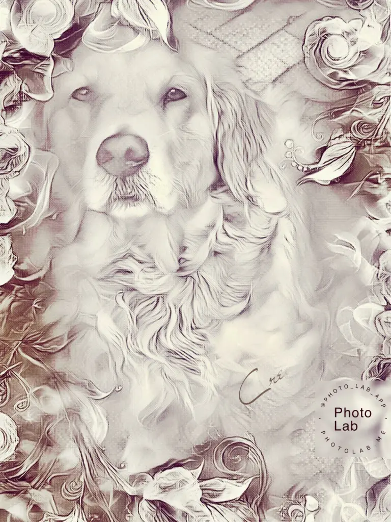 Condolence image of Ellen mit Lina ♥️