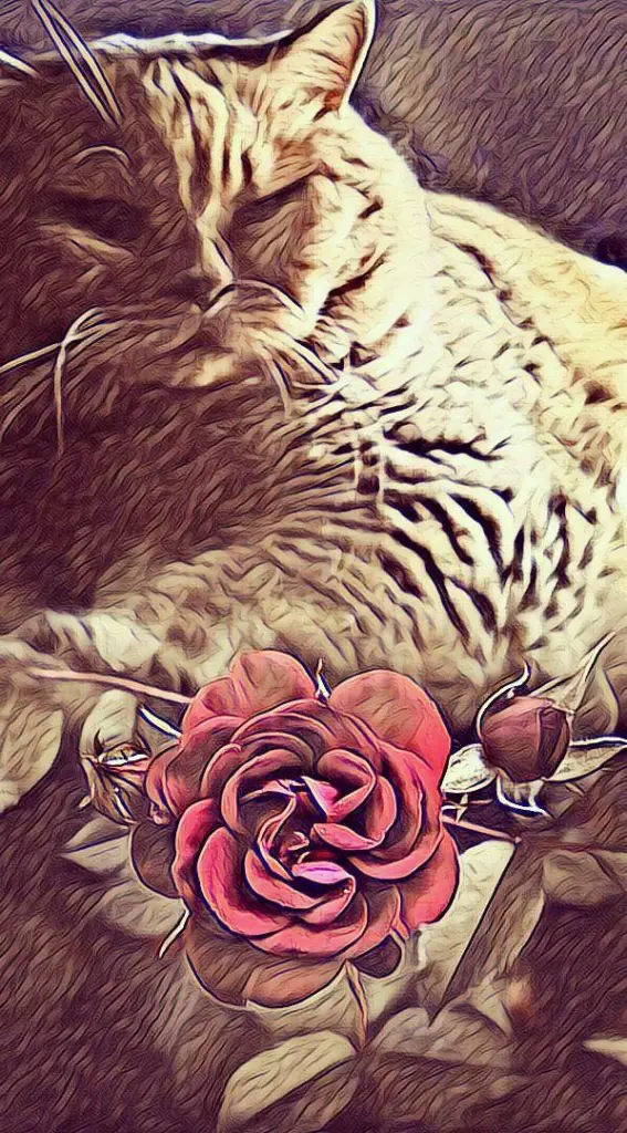 Condolence image of Ellen mit Lina ♥️