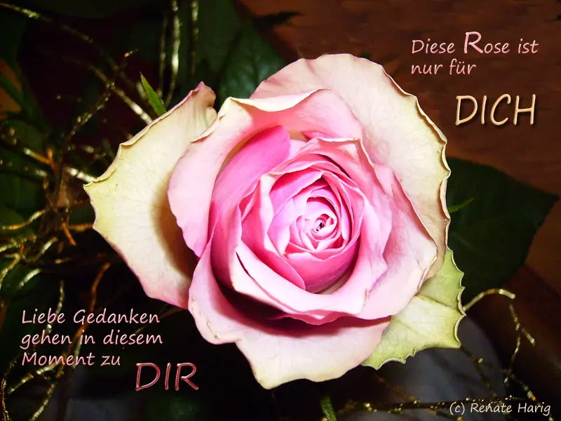 Condolence image of Michaela mit Nicko und Ariane ganz tief im ❤