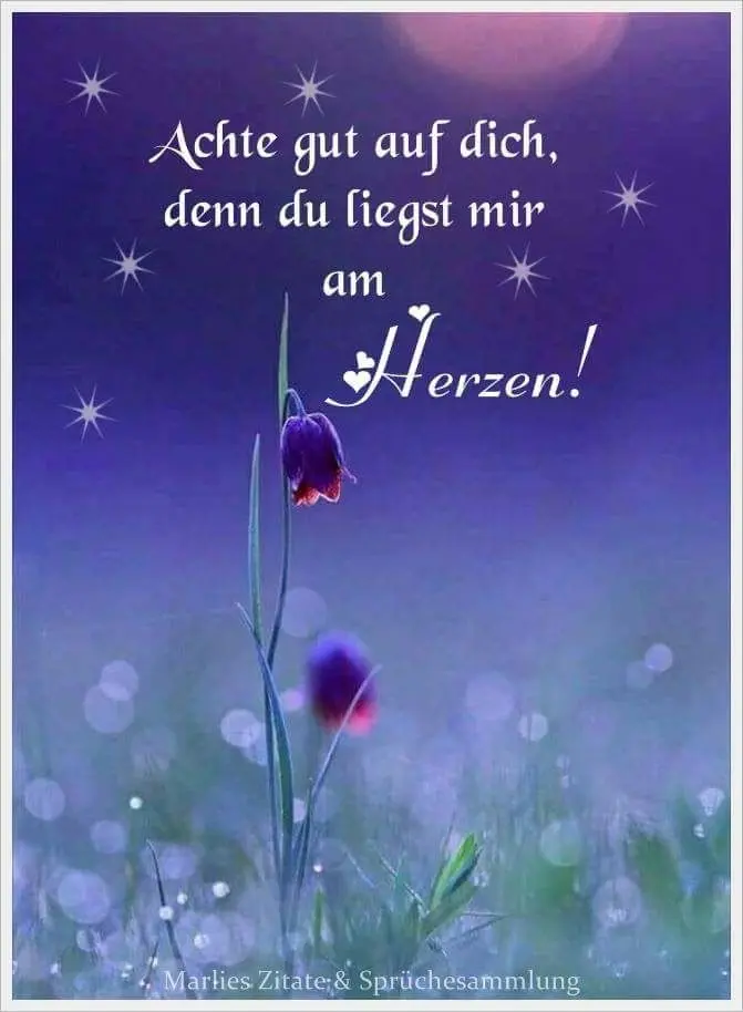 Condolence image of Sabine mit Kaspar tief im Herzen 