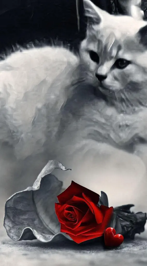 Condolence image of Ellen mit Lina ♥️