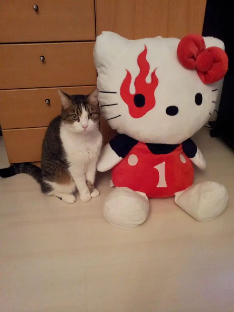 Condolence image of Tanja mit Timmy im Herzen