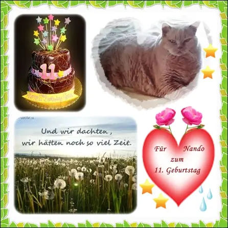 Condolence image of Ilse mit ihren geliebten Sternlein im Herzen