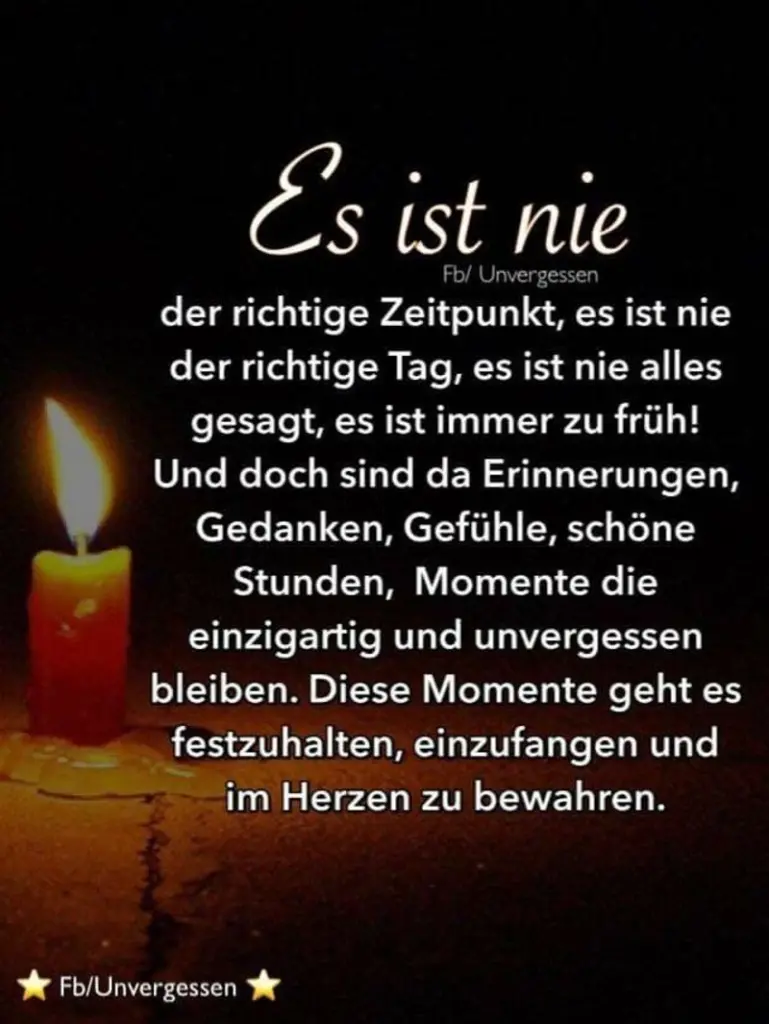 Condolence image of Tanja mit Timmy im Herzen