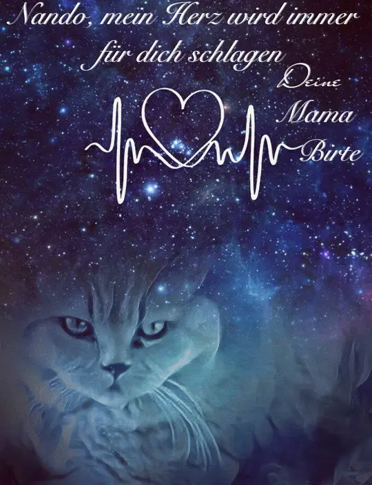 Condolence image of Unbekannt