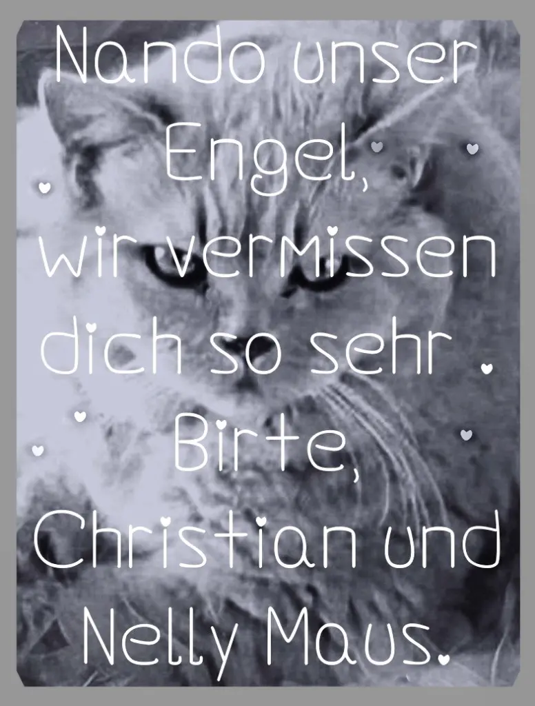 Condolence image of Sabine mit Kaspar tief im Herzen