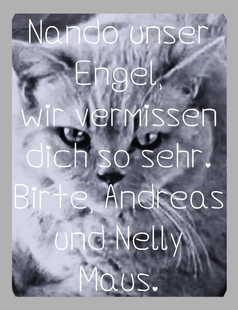 Condolence image of Sabine mit Kaspar tief im Herzen