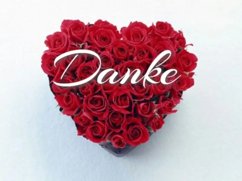 Condolence image of Tanja mit Timmy im Herzen