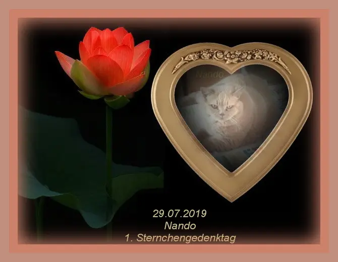 Condolence image of Sabine mit Kaspar tief im Herzen