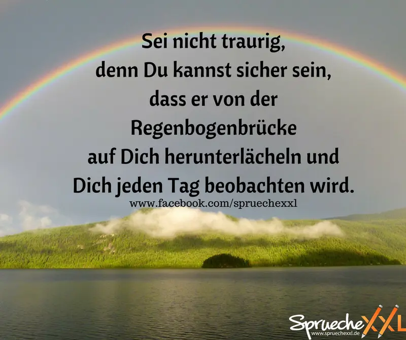 Condolence image of Tanja mit Timmy im Herzen