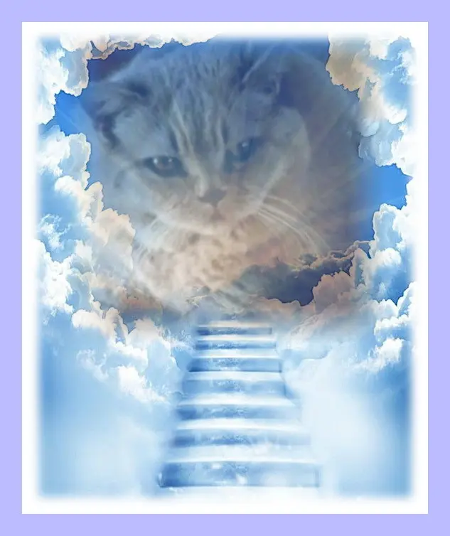 Condolence image of Unbekannt