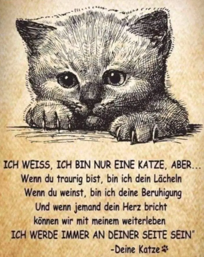 Condolence image of Tanja mit Timmy im Herzen 
