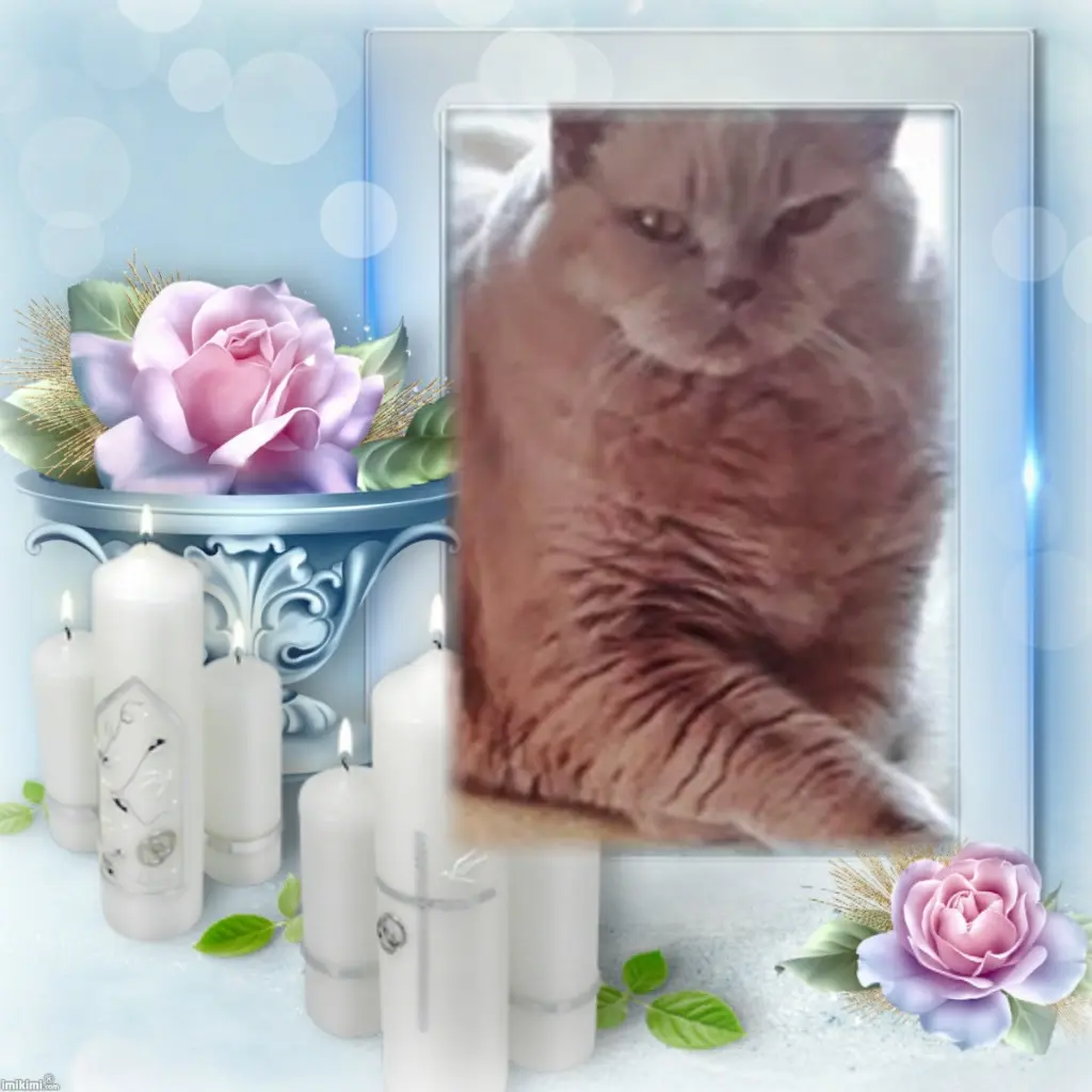 Condolence image of ❤️❤️❤️ALLEHEILIGEN❤️❤️❤️