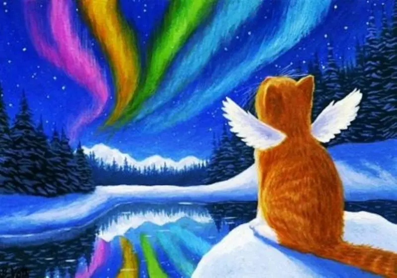 Condolence image of Tanja mit Timmy im Herzen