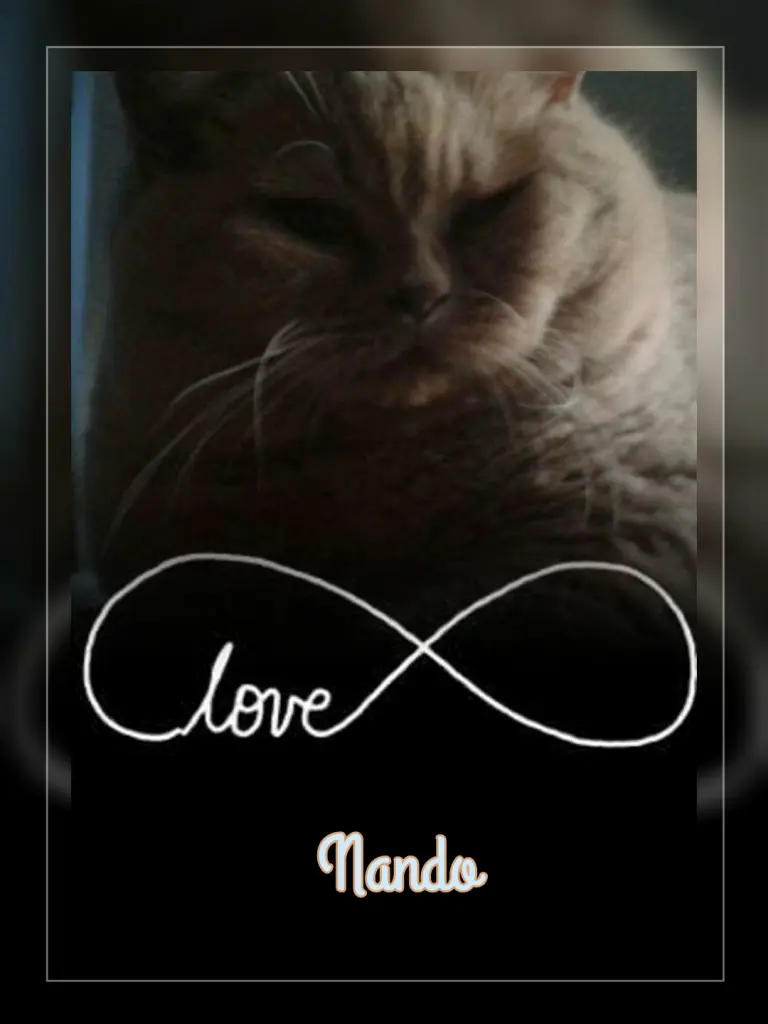 Condolence image of Ellen mit Lina ❤️