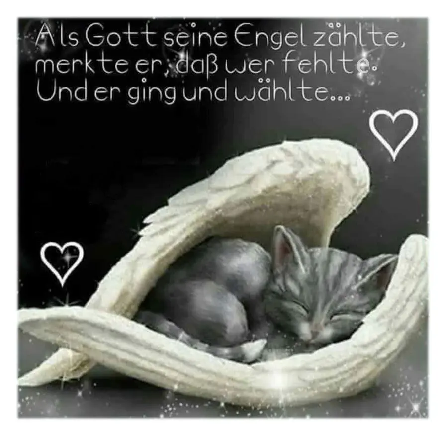 Condolence image of Sabine mit Kaspar tief im Herzen