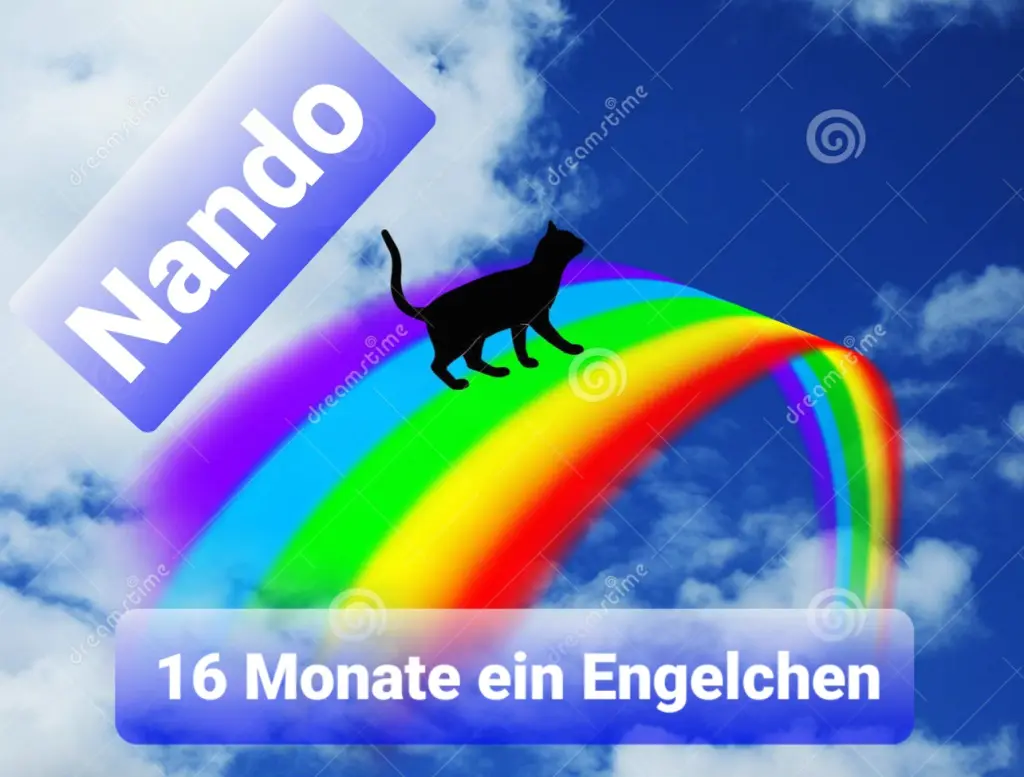 Condolence image of Tanja mit Timmy im Herzen