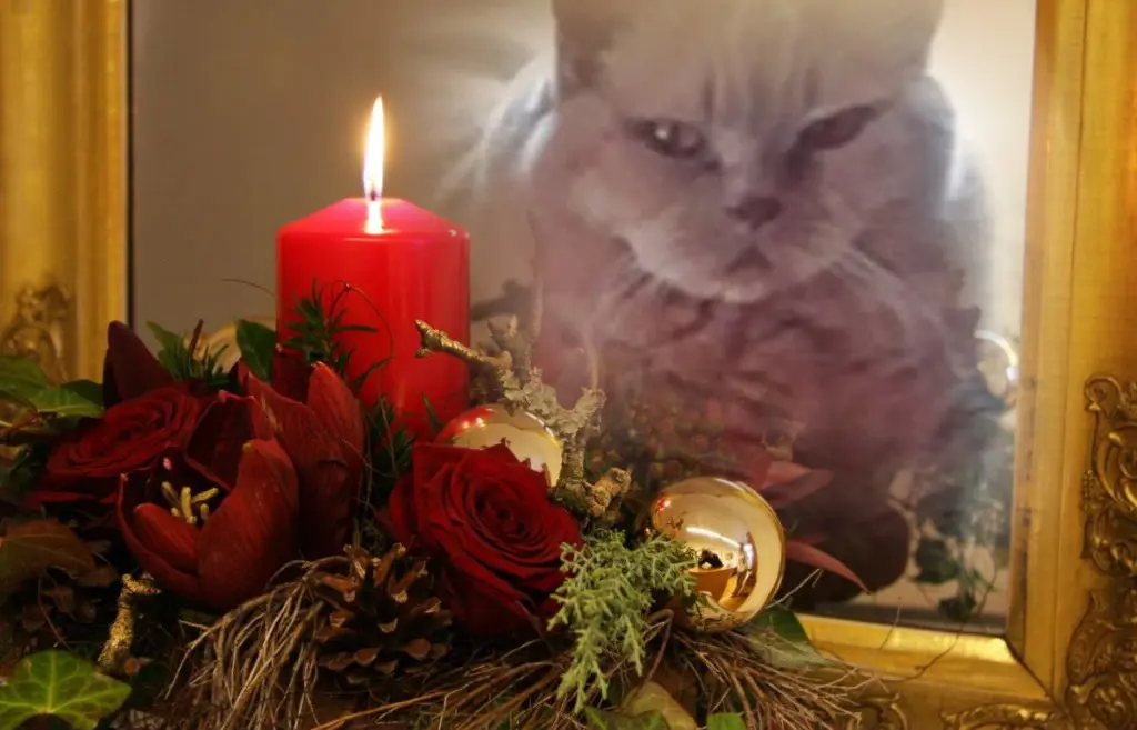 Condolence image of ❤️1. Advent❤️
